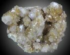 Cactus Quartz (Amethyst) Cluster - South Africa #33907-1